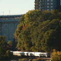 DSC_7238a.jpg