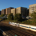 DSC_7250.jpg