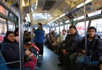 DSC_8837fa.jpg