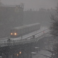 DSC_0272a.jpg