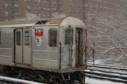 DSC_0293.jpg