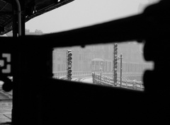 DSC_0347abw.jpg