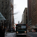 DSC_0571f_800.jpg