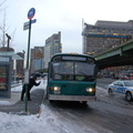 DSC_0578af.jpg