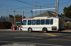 DSC_1045.jpg