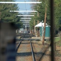 DSC_1128a.jpg