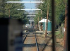 DSC_1128a.jpg