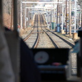 DSC_1161a_800.jpg