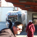 DSC_1174a.jpg