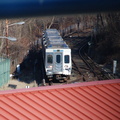 DSC_1258a.jpg