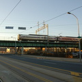 DSC_1830a.jpg