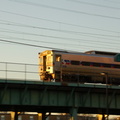 DSC_1837a.jpg