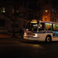 DSC_3310af.jpg