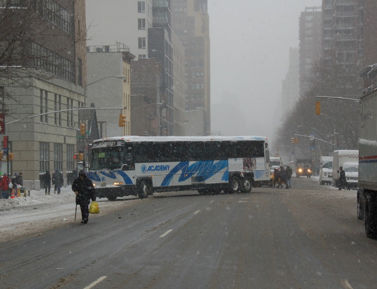 DSC_3349a.jpg
