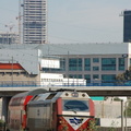 DSC_5445_800.jpg