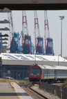 DSC_5563a_800.jpg
