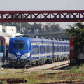DSC_5930b.jpg