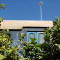 DSC_5937.jpg