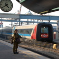 DSC_6013a.jpg