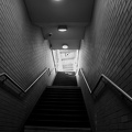 DSC_7616bwbf.jpg