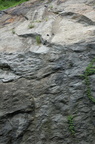 DSC_7987_g_800.jpg