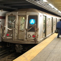 DSC_8554a.jpg