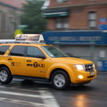 DSC_8589a.jpg
