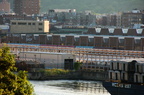 DSC_9100a.jpg