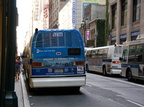 DSC_0188a.jpg