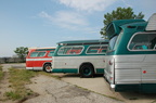 DSC_0365.jpg