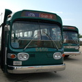 DSC_0376a.jpg