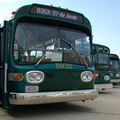 DSC_0380a.jpg