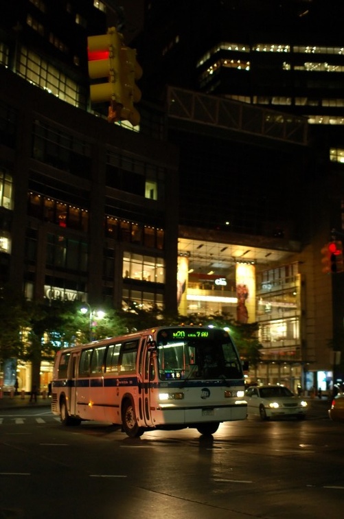 DSC_1962_800f.jpg