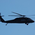 DSC_2931a.jpg