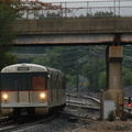 DSC_3133a.jpg