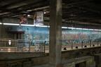 DSC_4342f.jpg