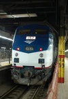 DSC_4369a_800f.jpg
