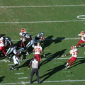 DSC_5030.jpg