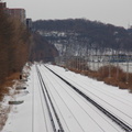 DSC_5506.jpg