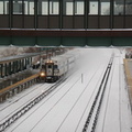 DSC_5515.jpg