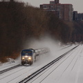 DSC_5555a.jpg