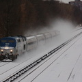 DSC_5559a.jpg