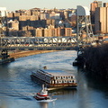 DSC_5795djg.JPG