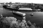 DSC_5840bw.jpg