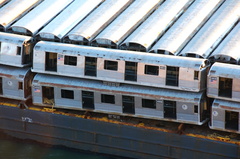 DSC_5849a.jpg