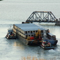 DSC_5885a.jpg