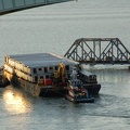 DSC_5896.jpg