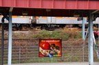 DSC_6160a.jpg