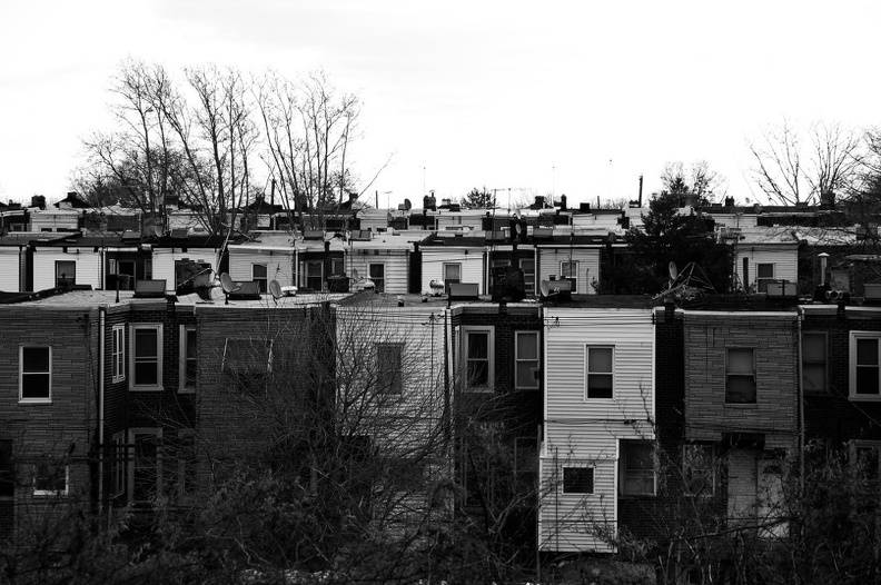 DSC_6173bw.jpg