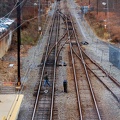 DSC_6207a.jpg